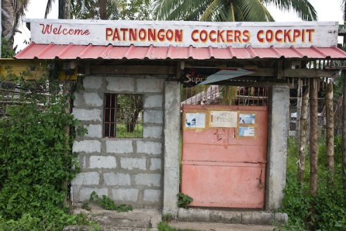 Want to watch a cockfight in Patnongan? This is where you go.